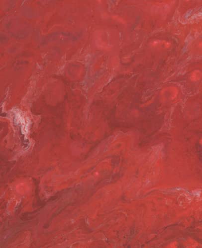 Root Chakra Journal with page numbers + table of contents. Full Colour pages.: Take organized notes with the colours of the chakra system. Also fits My Happy Planner Classic Size.