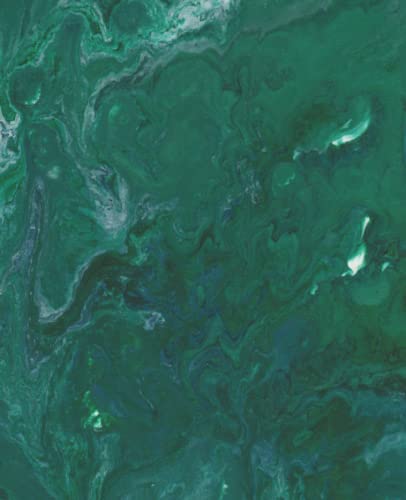 Heart Chakra Section Journal with page numbers + table of contents for taking notes: Organize your thoughts with the colours of the chakra system