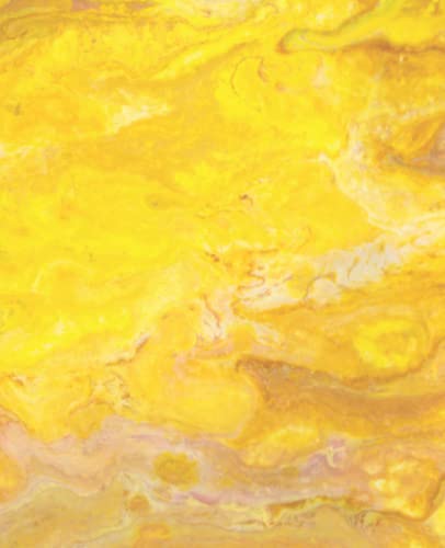 Solar Plexus Chakra Journal with page numbers + table of contents. Full Colour pages: Take organized notes with the colours of the Chakra system. Fits My Happy Planner Classic Size.