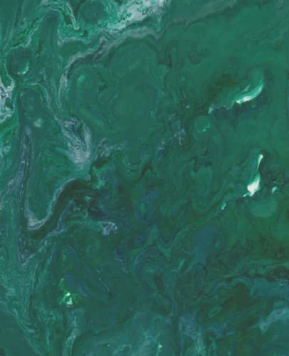 Heart Chakra Journal with page numbers + table of contents. Full Colour pages: Take organized notes with the colours of the Chakra system. Fits My Happy Planner Classic Size.