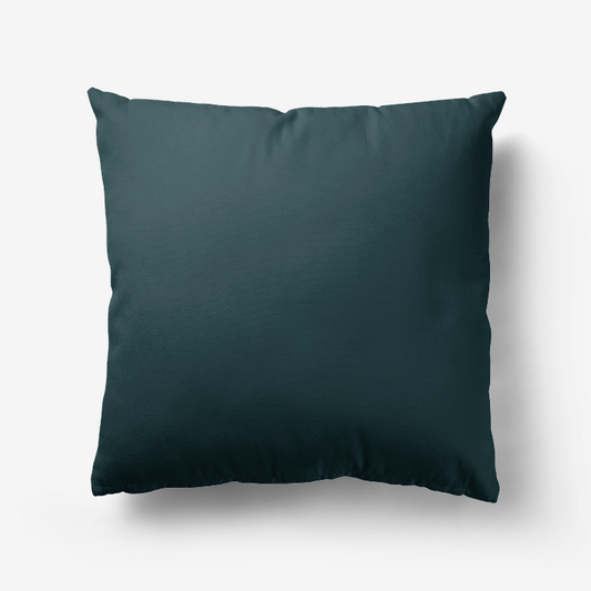 Sea Green Hypoallergenic Throw Pillow