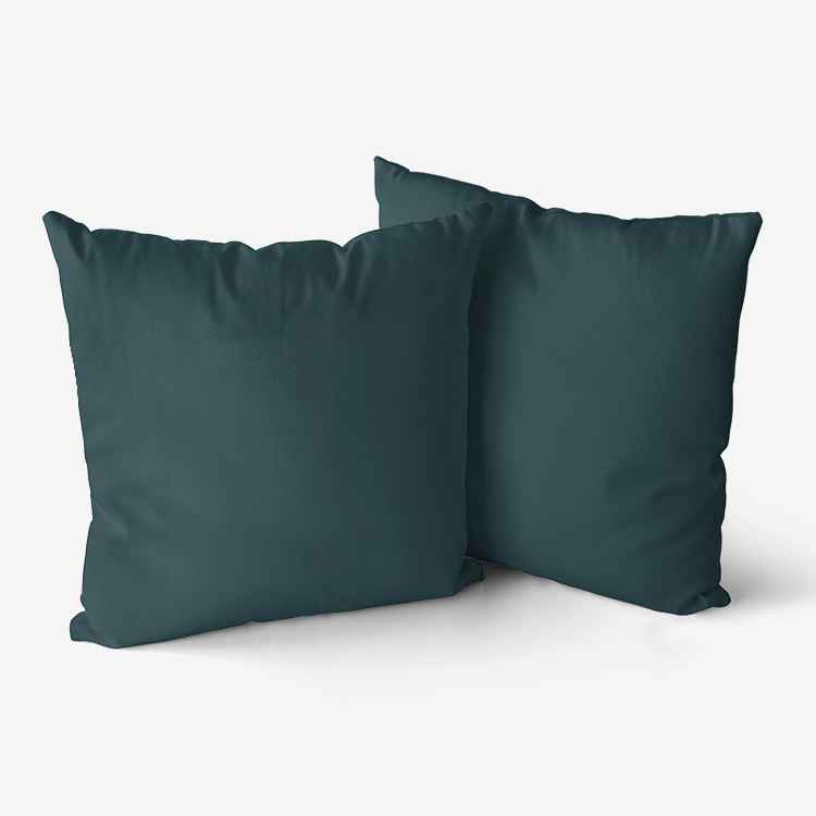 Sea Green Hypoallergenic Throw Pillow