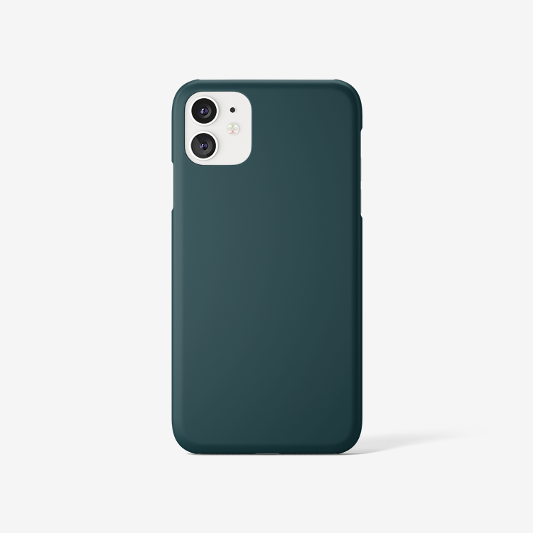 Sea Green iPhone Case