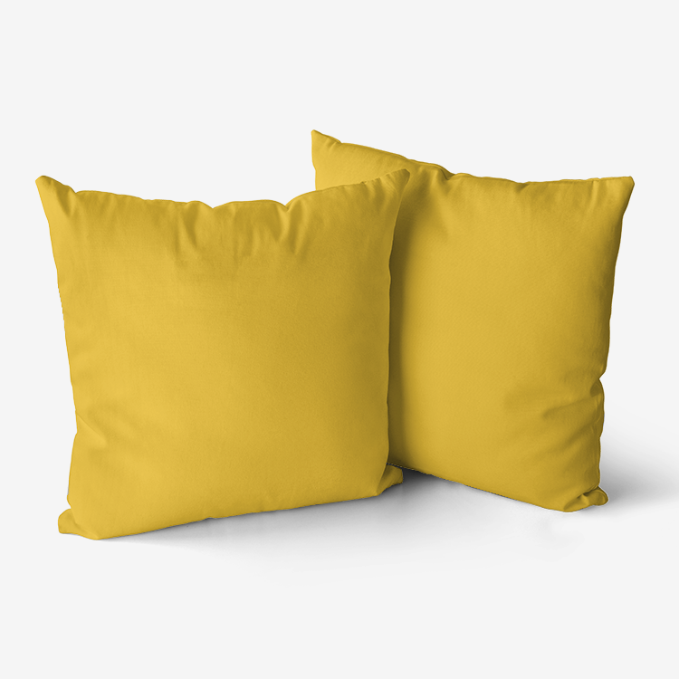 Gold Tooth Hypoallergenic Throw Pillow