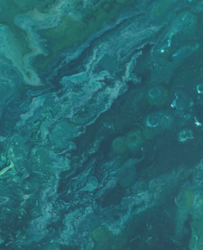 Throat Chakra Journal with page numbers + table of contents. Full Colour pages: Take organized notes with the colours of the Chakra system. Fits My Happy Planner Classic Size.