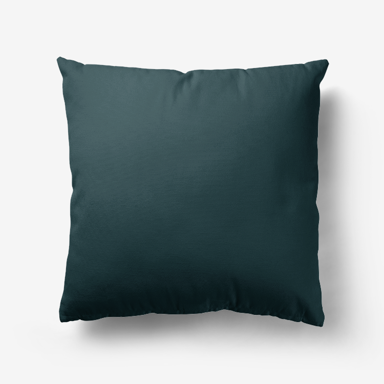 Sea Green Hypoallergenic Throw Pillow