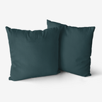 Sea Green Hypoallergenic Throw Pillow