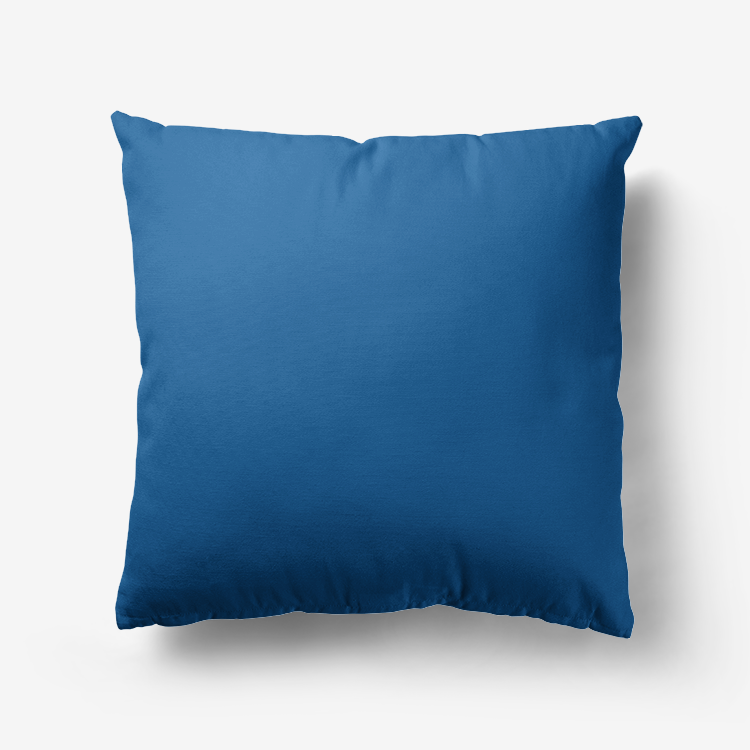 Blue Water Hypoallergenic Throw Pillow