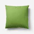 Green Grass Hypoallergenic Throw Pillow